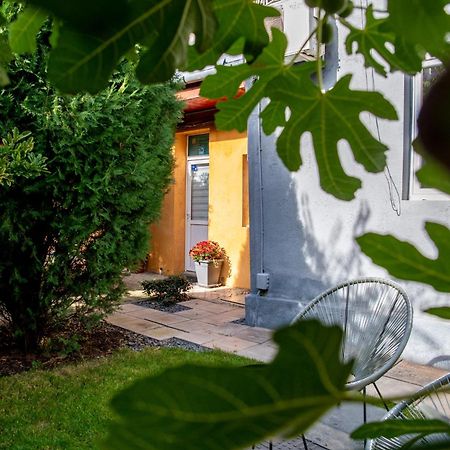 Dulcineea Downtown Garden Studio Temesvár Kültér fotó