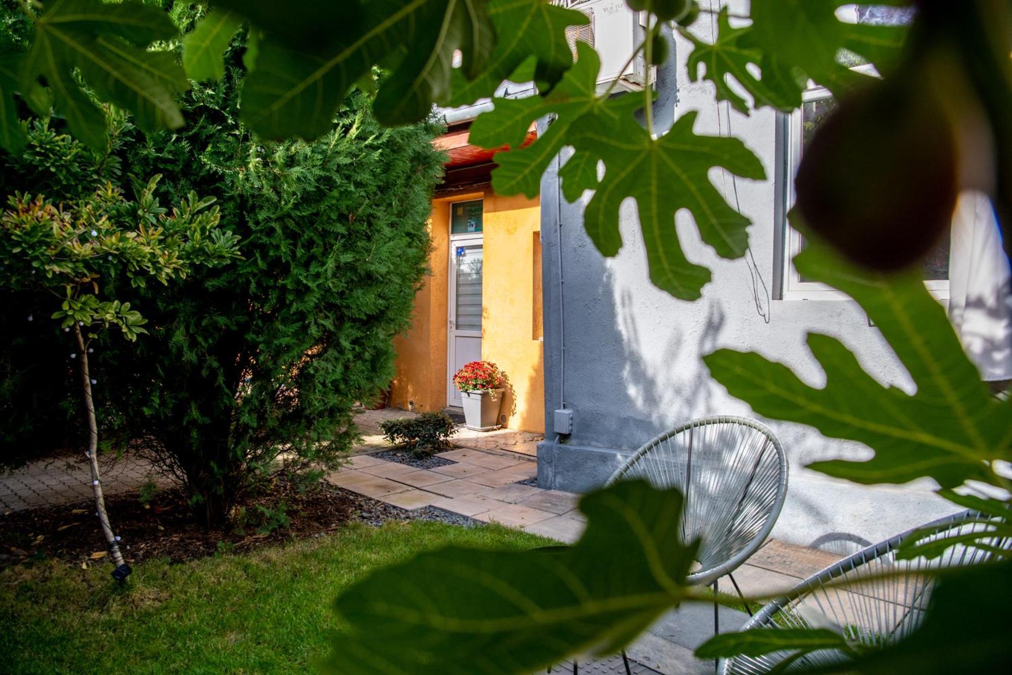 Dulcineea Downtown Garden Studio Temesvár Kültér fotó