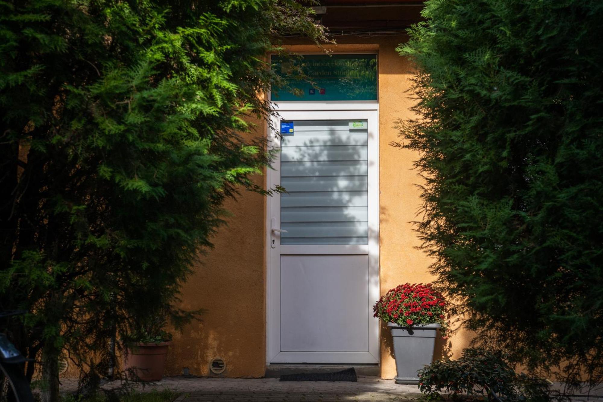 Dulcineea Downtown Garden Studio Temesvár Kültér fotó